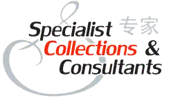 Collection Experts Partner Logo